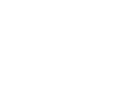 Todito